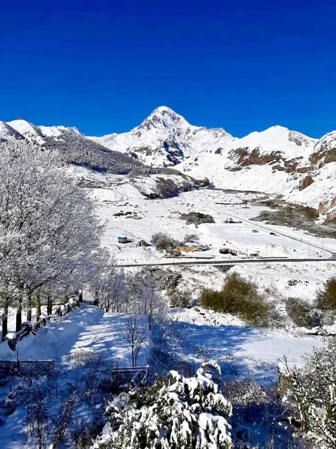 Kazbegi Inn Exteriör bild